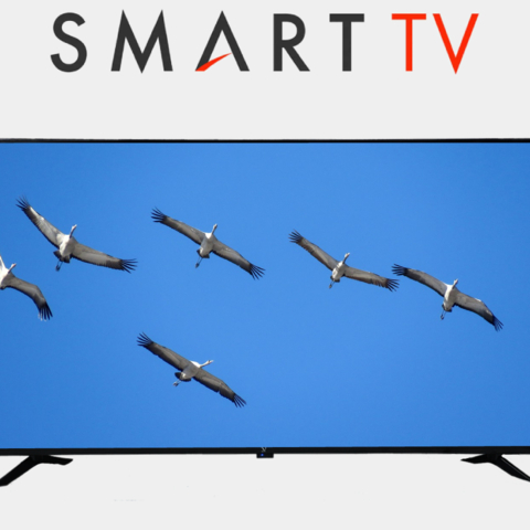 Televizor  SMART 32 SS GOLOSOVOY