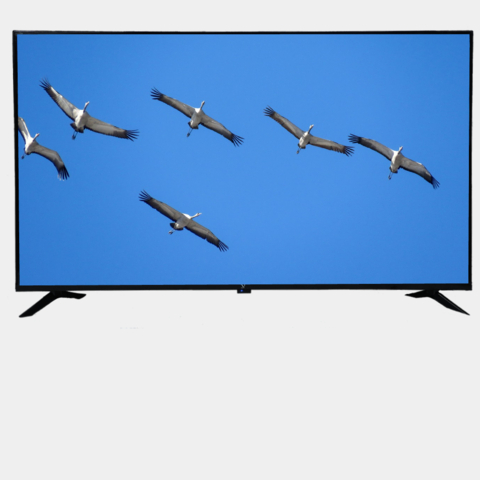 Televizor SAMSUNG 43 AU  8000