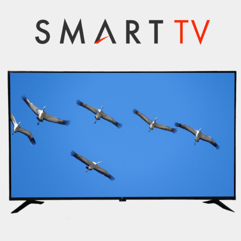 Televizor ZIFFLER  F 43 850