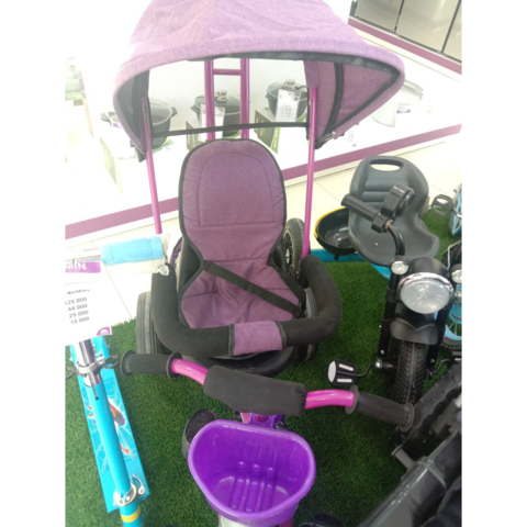 Kolyaska-velosiped pushti