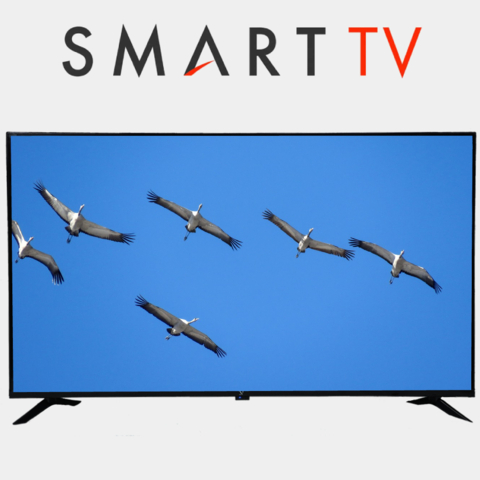 Televizor Toshiba 50M550LV