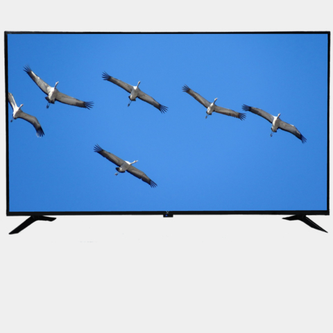 Televizor LG 32 LM550BPLB