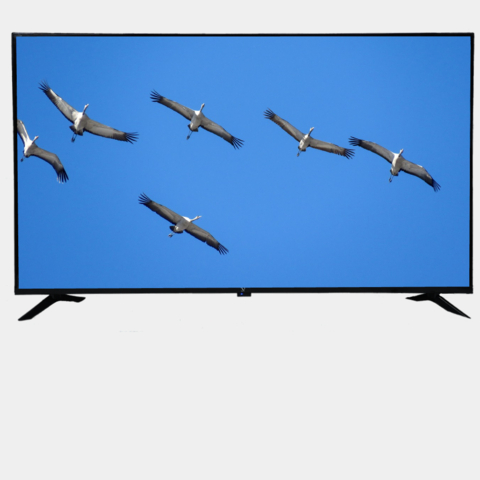 Televizor LG 43 UQ75006LF