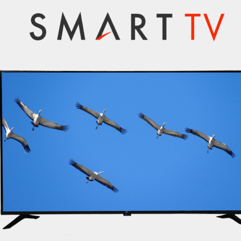 Televizor SHivaki 32 android