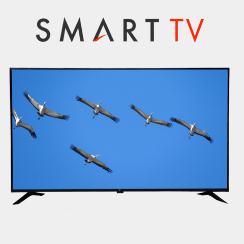 Televizor Premier 43 smart